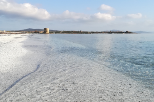 Golfo dell'Asinara